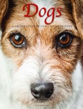 Cover: Dogs - Amber Books