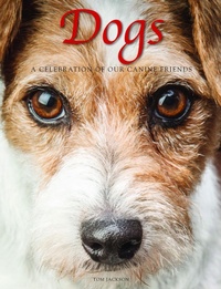 Enlarge image Cover: Dogs - Amber Books