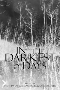 Enlarge image Cover: In the Darkest of Days - Oxbow Books