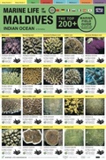 Cover: Maldives Marine Life Field Guide - Atoll Editions