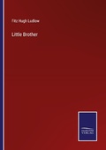 Cover: Little Brother - Outlook