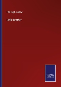 Enlarge image Cover: Little Brother - Outlook
