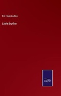 Cover: Little Brother - Salzwasser-Verlag