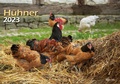 Cover: H&uuml;hner 2023 Bildkalender A3 quer - Oliver Giel - klaes-regio Fotoverlag
