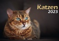 Cover: Katzen 2023 Bildkalender A3 quer - Oliver Giel - klaes-regio Fotoverlag