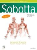 Cover: Sobotta Lernposter Anatomie - Urban & Fischer