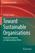 Cover: Toward Sustainable Organisations - Springer