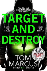 Abbildung von: Target and Destroy - Macmillan