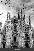 Cover: Vampire Rampage Diaries - Lulu.com