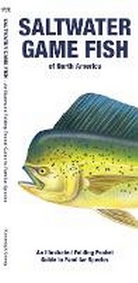 Abbildung von: Saltwater Game Fish of North America - Waterford Press Ltd