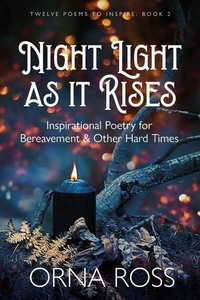Enlarge image Cover: Night Light As It Rises - Publishdrive