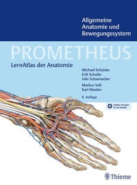 Abbildung von: PROMETHEUS Allgemeine Anatomie und Bewegungssystem - Thieme