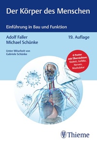 Abbildung von: Der Körper des Menschen - Thieme