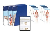 Abbildung von: PROMETHEUS LernPaket Anatomie - Thieme