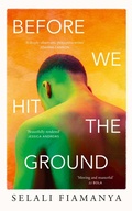Cover: Before We Hit the Ground - The Borough Press