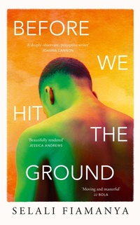 Abbildung von: Before We Hit the Ground - The Borough Press