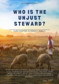 Abbildung von: Who is the Unjust Steward? - Stephen Nagle