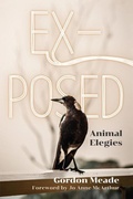Cover: Ex-Posed - Lantern Books,US