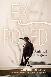 Enlarge image Cover: Ex-Posed - Lantern Books,US