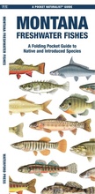Cover: Montana Freshwater Fishes - Waterford Press Ltd