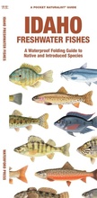 Cover: Idaho Freshwater Fishes - Waterford Press Ltd