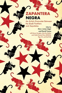 Abbildung von: Zapantera Negra - Common Notions