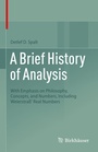 Cover: A Brief History of Analysis - Birkh&auml;user