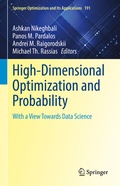 Cover: High-Dimensional Optimization and Probability - Springer