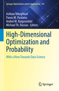 Cover: High-Dimensional Optimization and Probability - Springer