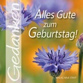 Cover: Alles Gute zum Geburtstag - Neue Stadt