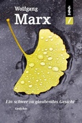 Cover: Ein schwer zu glaubendes Gesicht - KaMeRu Verlag
