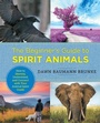 Cover: The Beginner's Guide to Spirit Animals - New Shoe Press