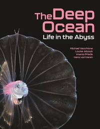 Abbildung von: The Deep Ocean - Princeton University Press