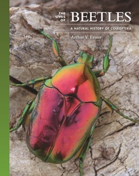 Abbildung von: The Lives of Beetles - Princeton University Press