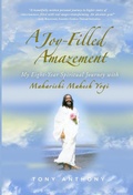Cover: A Joy-Filled Amazement - Montgomery Wood Publishing