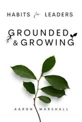 Cover: Habits for Leaders, Grounded and Growing - Horizon Chasers Publishing