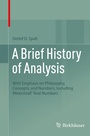 Cover: A Brief History of Analysis - Birkh&auml;user