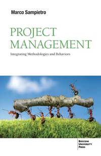 Enlarge image Cover: Project Management - Bocconi University Press