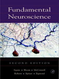 Enlarge image Cover: Fundamental Neuroscience - Academic Press