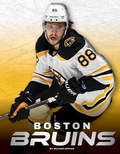 Cover: Boston Bruins - Press Room Editions