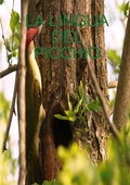 Cover: La Lingua del Picchio - Lulu.com