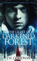 Cover: By The Light of a Darkened Forest - Next Chapter