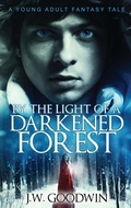 Cover: By The Light of a Darkened Forest - Next Chapter