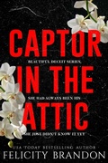Cover: Captor In The Attic - Felicity Brandon