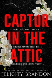 Enlarge image Cover: Captor In The Attic - Felicity Brandon