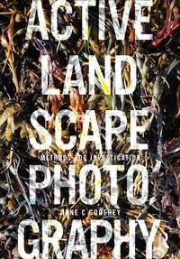 Enlarge image Cover: Active Landscape Photography - Routledge
