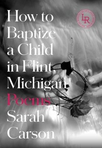 Enlarge image Cover: How to Baptize a Child in Flint, Michigan - Persea Books Inc