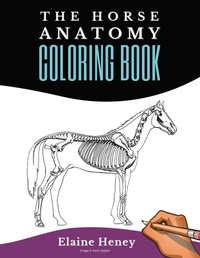 Abbildung von: Horse Anatomy Coloring Book For Adults - Grey Pony Films