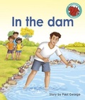 Cover: In the dam - Raintree