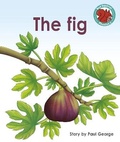 Cover: The Fig - Raintree